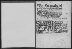 Ein Wunnderbarlich gantz Warhaft geschicht, so geschehen ist in dem Schweytzerlandt, bey ainer Statt hayst Willisow, drey Meyl von Lutzern, von Dreyen Gesellen die mitainander gespilt habend, da der Teüffel den ainen, den andern zweyen Angesicht jhrer Augen genommen vnnd hinweg getragen hat. Vnnder den andern zweyen habend die Leüß den ainen zu todt gebissen. Der drit ist mit dem schwerdt ... gericht worden ...