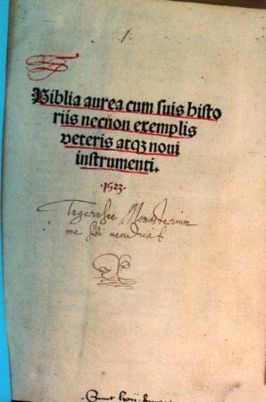 Biblia aurea cum suis historiis necnon exemplis veteris atq[ue] noui instrumenti