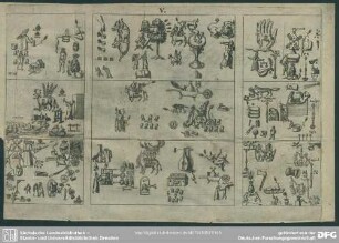 V. [Classis XIII., VIII., XIV.]