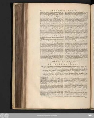 Exercitatio CXLV.