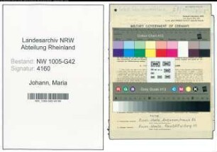 Entnazifizierung Maria Johann , geb. 19.02.1903 (Schneiderin)