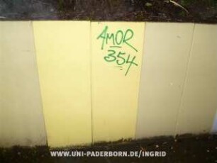 AMOR 354