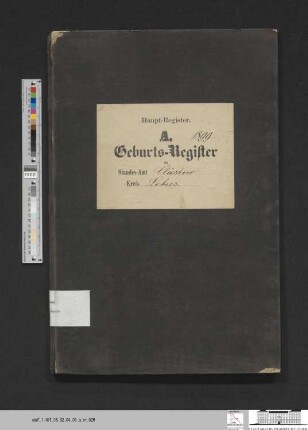 Geburtsregister Kliestow 1899