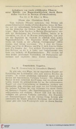 Umgekehrte Negative