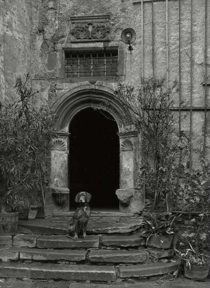 Schloss Wilsdruff, Sitznischenportal an der Südseite mit Hund