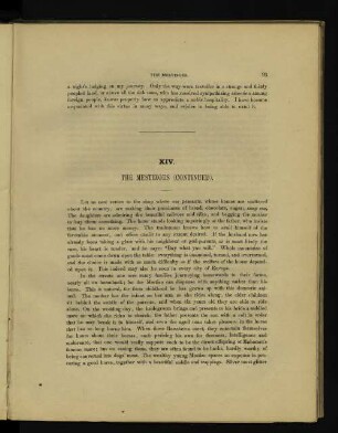 XIV. The Mestizoes (continued).