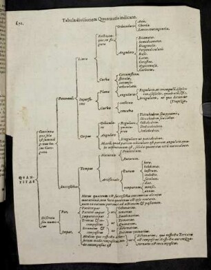 Tabula divisionem Quantitatis indicans.