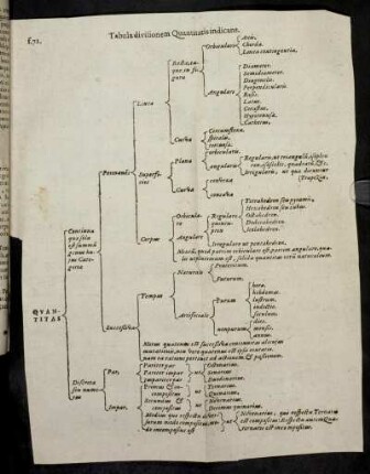 Tabula divisionem Quantitatis indicans.