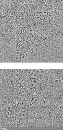 Lilienschild + IESV / LW 3 = S.43/44 + 71/72