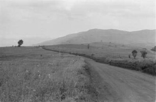 Landschaft : Blick entlang einer Straße durch die Landschaft der Provinz Pwani