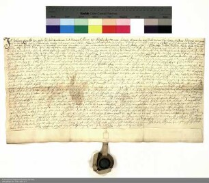Revers Johann Leopolds von Geyso zu Völkershausen und Mansbach bezüglich der Belehnung mit einem Teil des Schlosses in Mansbach und weiteren im Einzelnen aufgeführten Lehen durch Placidus [von Droste], Abt von Fulda