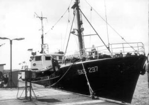 Sassnitz (Rügen). Fischereihafen. Fischkutter SAS 297 an der Pier vertäut
