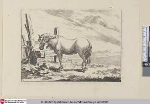 [Das Pferd bei der Krippe; A horse at a trough]
