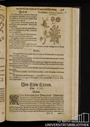 Cap. CIII. Von Klein Kletten.