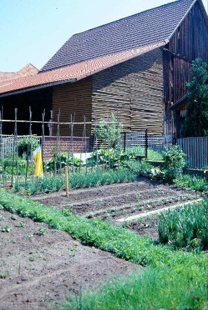 Nutzgarten und Scheune