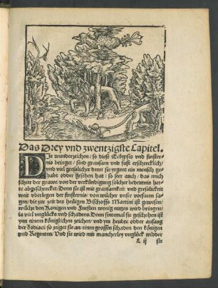 Das Drey und zwentzigste Capitel.