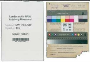 Entnazifizierung Robert Meyer , geb. 16.04.1905 (Ingenieur)