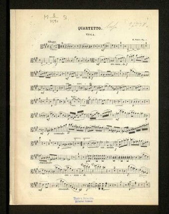 Quartetto. Viola.