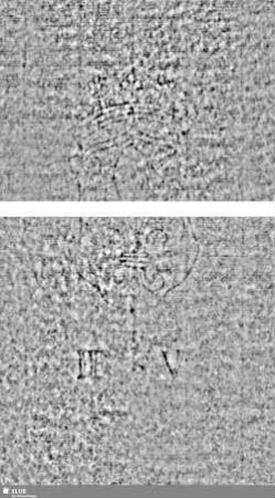 Lilienschild; Buchstaben IESV; Buchstaben LW = S.11/12+19/20