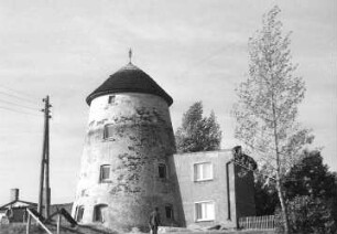 Turmholländer