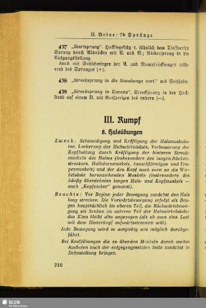 III. Rumpf
