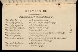173 - 175, Section III