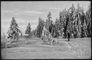 Schellerhau. Blick auf Schellerhau im Winter