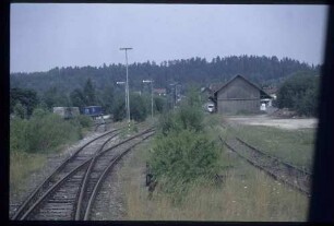 Bf. Münsingen