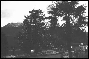 Muralto Locarno: beleuchteter Weihnachtsbaum am Abend