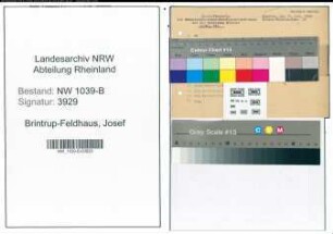 Entnazifizierung Josef Brintrup-Feldhaus , geb. 00.00.0000 ()