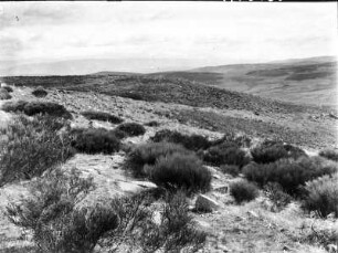 In der Sierra de Gredos : Blick über eine Ebene