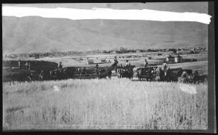 Lewiston, Idaho. Threshing Wheat