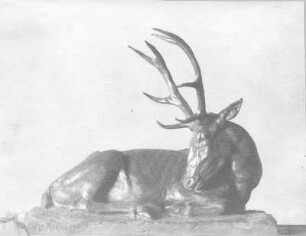 Liegender Hirsch