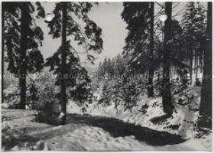 Winterlandschaft, Harz