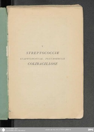 Streptococcie, Staphylococcie, Pneumococcie, Collibacillose