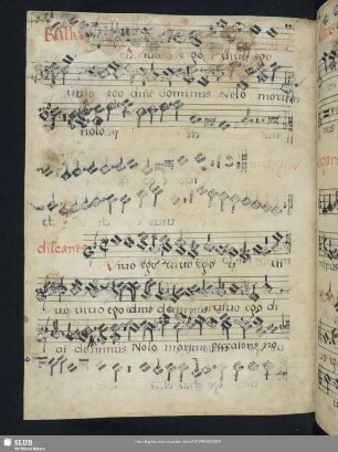 Gallus Dressler: Vivo ego dicit Dominus