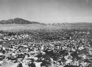 Steinwüste : Blick in eine steinige Wüstenlandschaft