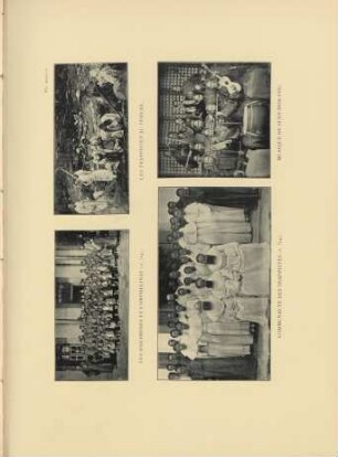 Pl. XXXVIII
