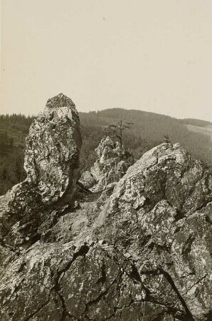 Lausitzer Gebirge. Der Dänstein (740 m) südlich von Handorf