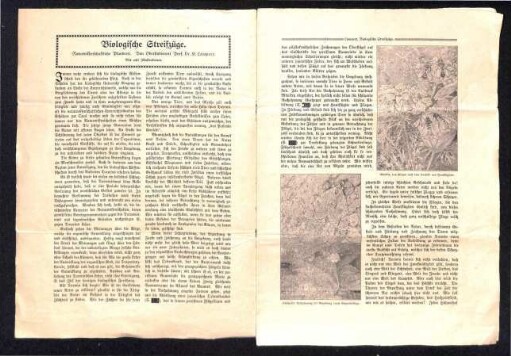 Artikel: "Biologische Streifzüge. Naturwissenschaftliche Plauderei." von Kurt Lampert