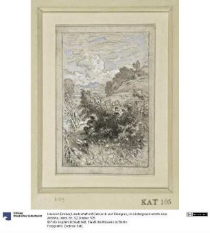 Landschaft mit Gebüsch und Riedgras, im Hintergrund rechts eine Anhöhe
