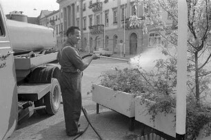 Blumenschmuck am Karlsruher Marktplatz.