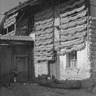Alltagsbild. Gestelle für das Trocknen der Tabakblätter am Wohnhaus in Bansko