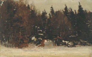 Winterwald