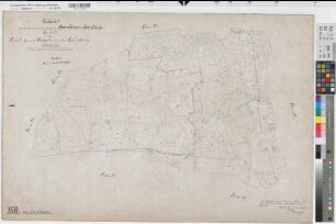 Westerkappeln (Westerkappeln), Zusammenlegung Hambüren-Handarpe, Urkarte I Flur 31 Hambüren