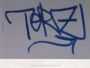 TeRZ