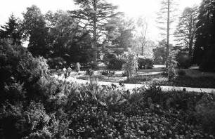 Mainau, Insel Mainau: Parkdurchblick