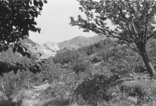 Hügelige Landschaft : Blick über hügelige Landschaft gegen Berge im Hintergrund