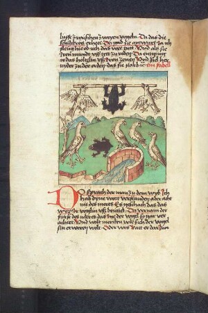 Die beiden Vögel und die Schildkröte; (Kapitel II: Von dem Löwen und dem Ochsen)