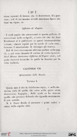 Capitolo VII